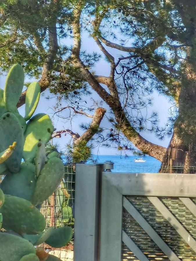 ポリニャーノ・ア・マーレ Trullo Seaside Polignanoヴィラ エクステリア 写真