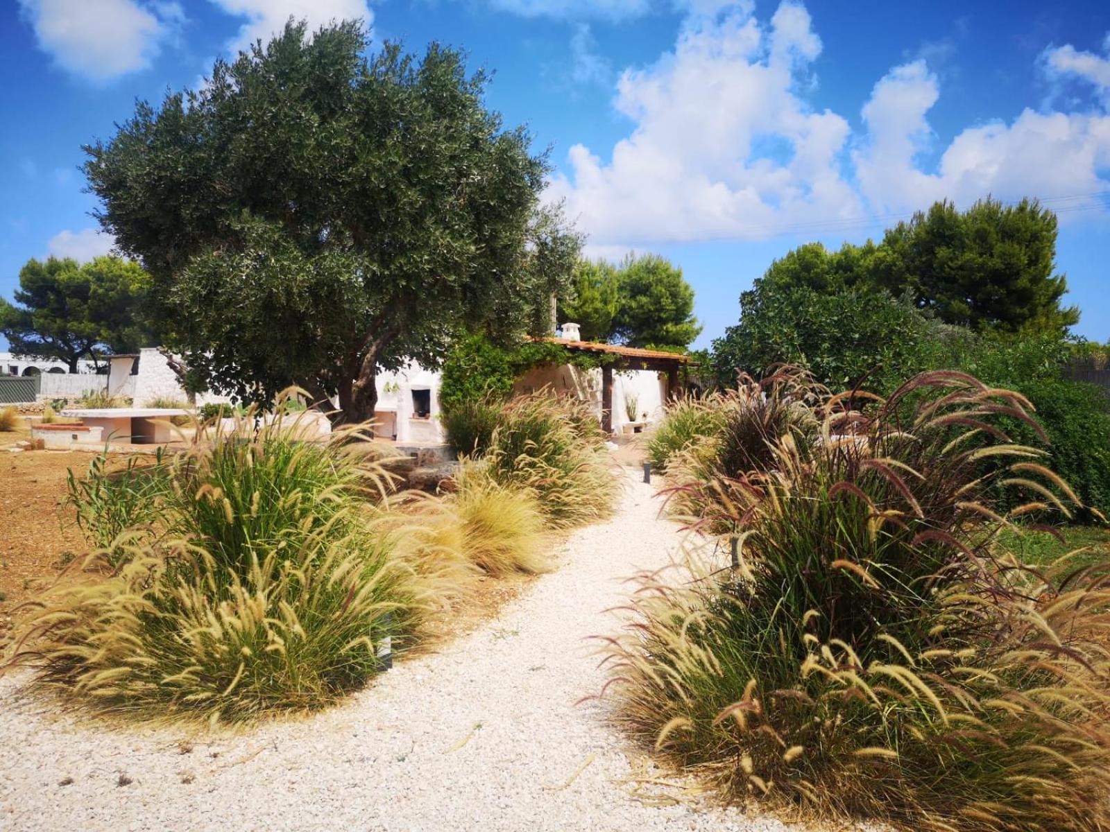 ポリニャーノ・ア・マーレ Trullo Seaside Polignanoヴィラ エクステリア 写真